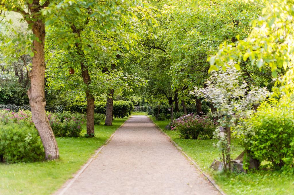 Oeko-Park Panzio, Kemping Es Rendezvenykoezpont Szarvaskő Εξωτερικό φωτογραφία