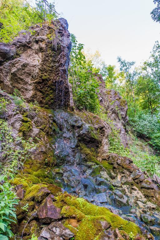 Oeko-Park Panzio, Kemping Es Rendezvenykoezpont Szarvaskő Εξωτερικό φωτογραφία